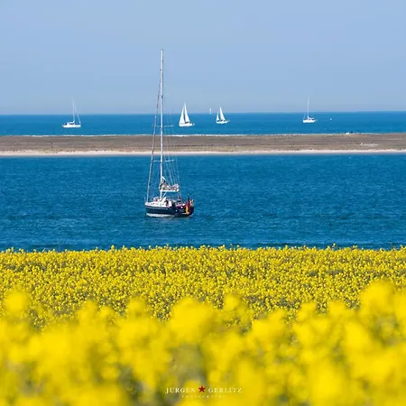 Urlaub Mit Ostseeblick, Schwimmbad, Sauna & Direkte Strandlage * Kronsgaard